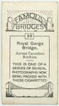 Royal Gorge Bridge across Canadian Rockies.