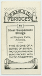 Steel suspension bridge at Niagra Falls.
