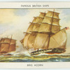 Brig Acorn.