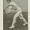 T.F. Shepherd, Surrey.