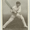 C. G. Macartney, New South Wales.