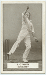 J.C. White, Somerset.