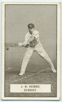 J.B. Hobbs, Surrey.