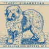 Old English Sheepdog.