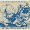 Pekingese.