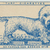 Dandie Dinmont Terrier.