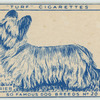 Skye Terrier.