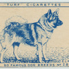 Elkhound.