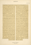 Denderah. Grand temple. Crypte no. 8.