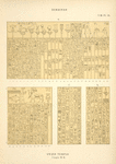 Denderah. Grand temple. Crypte no. 9.