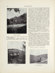 1913