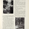 1913