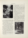1913