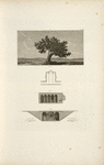 Veduta di un albero; Programma architettonico.