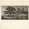 Consiglio degli arabi.