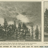Desecration of trees owned by the city, and said to have been planted by Lafayette