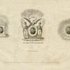 DelaFayette Major General 1777--Visited United States 1824