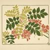 Abstract design based on flowering plants