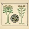 Abstract design based on leaves