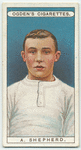 A. Shepherd