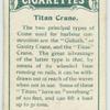 Titan crane.