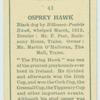 Osprey Hawk.