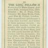 The Long Fellow II.