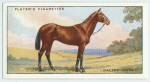 "Galtee More".