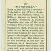 "Myrobella".