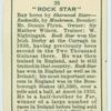 "Rock Star".