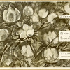 Sannikov, Grigorii Aleksandrovich. V gostiakh u egiptian. [Visiting with Egyptian.] Moscow: Sovetskaia Literatura, 1933.
