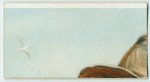 A famous picture in 48 sections