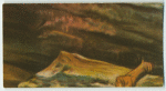 A famous picture in 48 sections