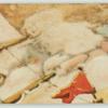 A famous picture in 48 sections