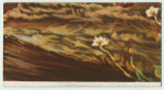 A famous picture in 48 sections