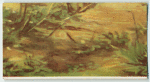 A famous picture in 48 sections