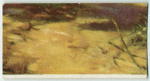 A famous picture in 48 sections
