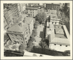 Madison Avenue (East 36th Street - East 37th Street)