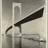 Bridges - Whitestone Bridge
