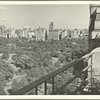 Parks - Central Park