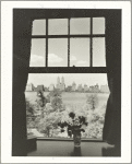 Parks - Central Park - looking west from Fifth Avenue apartment