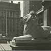 Statues - New York Public Library - Lions