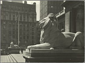  1558545. New York Public Library