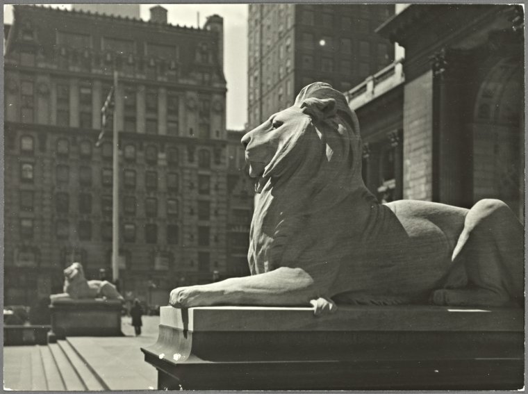 Statues New York Public Library Lions NYPL Digital Collections