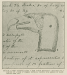 Head of a fossil monster found by the Oregon expedition--facsimile of a portion of a page of Clark's journal, showing his method of illustrating the text