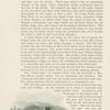 Wonderland 1900