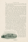 Wonderland 1900