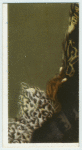 A famous picture in 48 sections