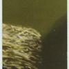 A famous picture in 48 sections