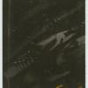 A famous picture in 48 sections